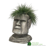 Festuca glauca 'Intense Blue' Grass 17cm Pot