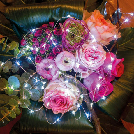 Lumineo 20 Cool White Micro LED Battery Operated String Lights (0.9m)