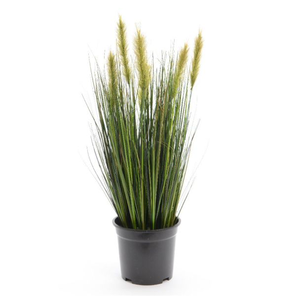 Decoris 122cm Potted Artificial Grass