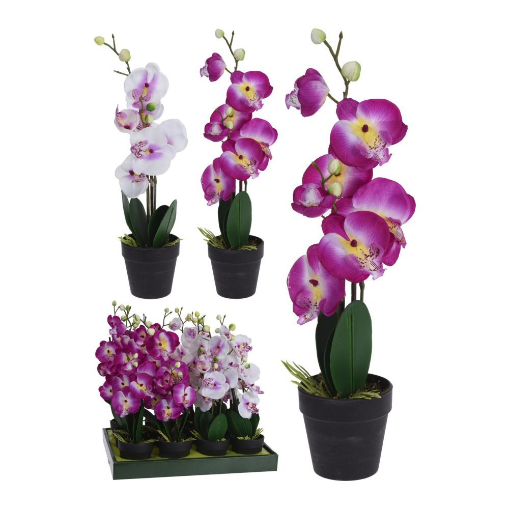 Koopman 47cm Artificial Orchid In Pot (Choice of 2)