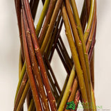 Salix Hybrid Living Braided Willow Sculpture Dark Stem 80cm 19cm pot (NL)