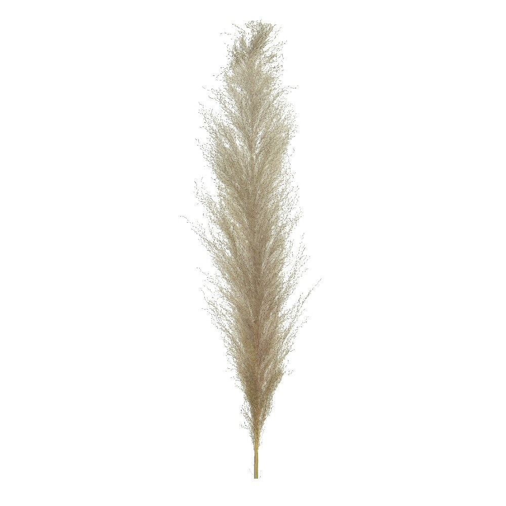 Kaemingk 125cm Plume On a Stem Artificial Pampas Grass