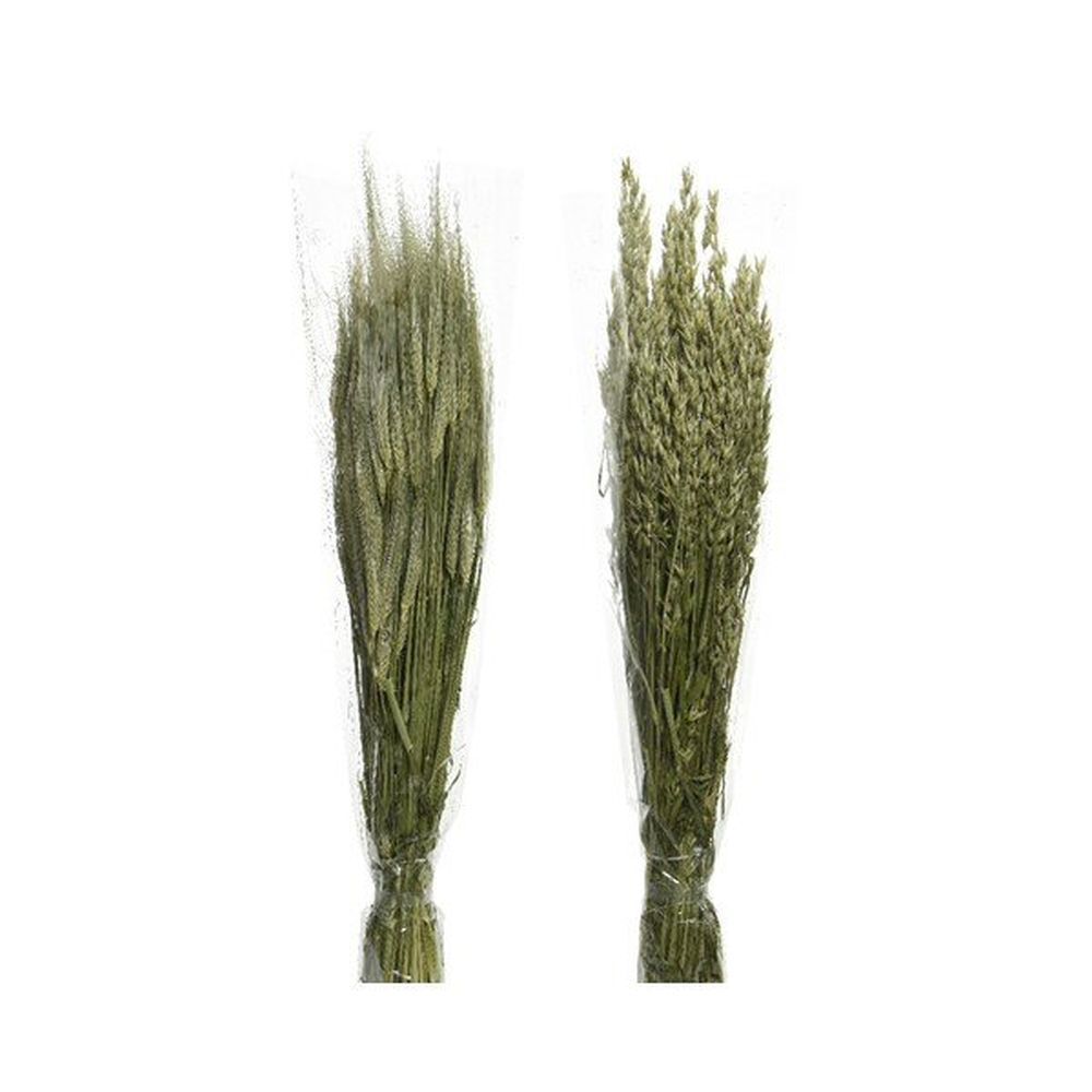 Decoris Natural Dried Grass Decoration (Choice of 2)