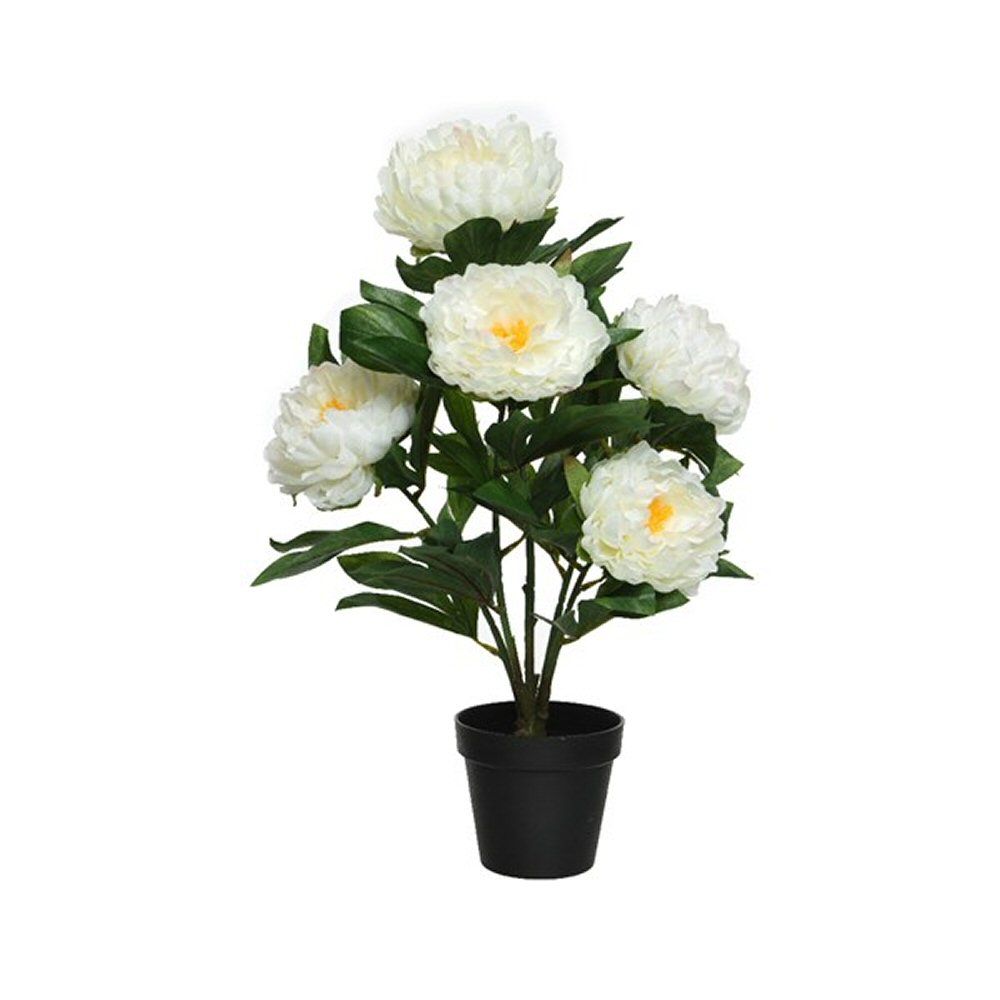 Decoris 57cm Artificial White Peony Rose in Pot