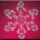 Lumineo 480 Cool White LED Flashing Snowflake Frame