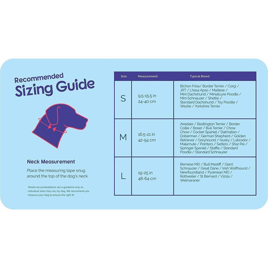 Dog Halti Collar Size Chart How To Put On A Dog Leash Harness