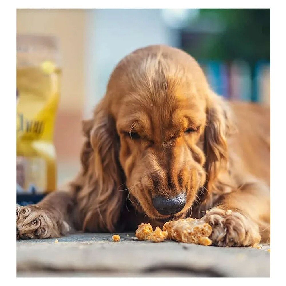 Dogsee 70g Puffy Bar Dog Treats