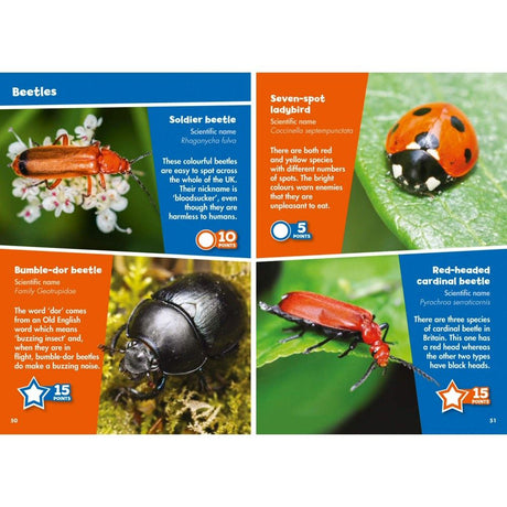 i-Spy Creepy Crawlies Children's Activity Book
