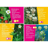 i-Spy Wildflowers Children's Activity Book