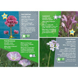 i-Spy Wildflowers Children's Activity Book