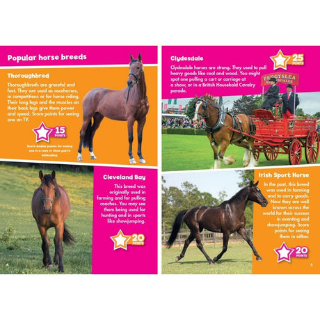 i-Spy Horses & Ponies Children's Activity Book
