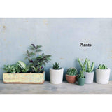 The Kew Gardener's Companion to Growing House Plants by Kay Maguire