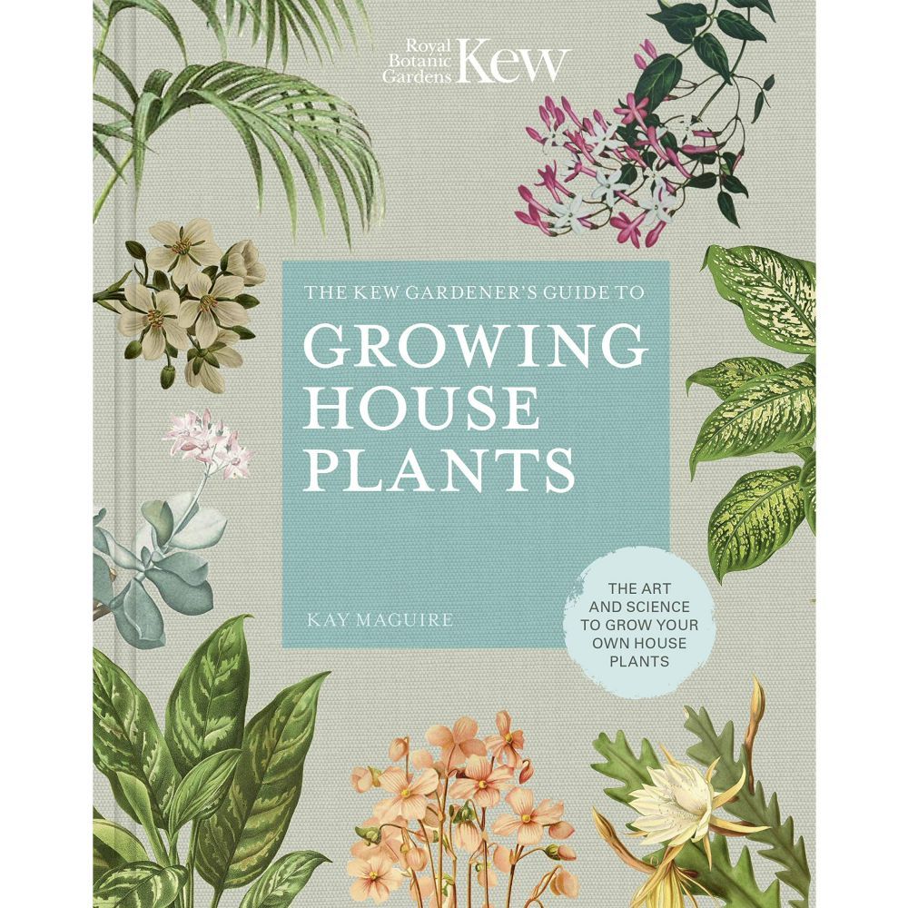 The Kew Gardener's Companion to Growing House Plants by Kay Maguire