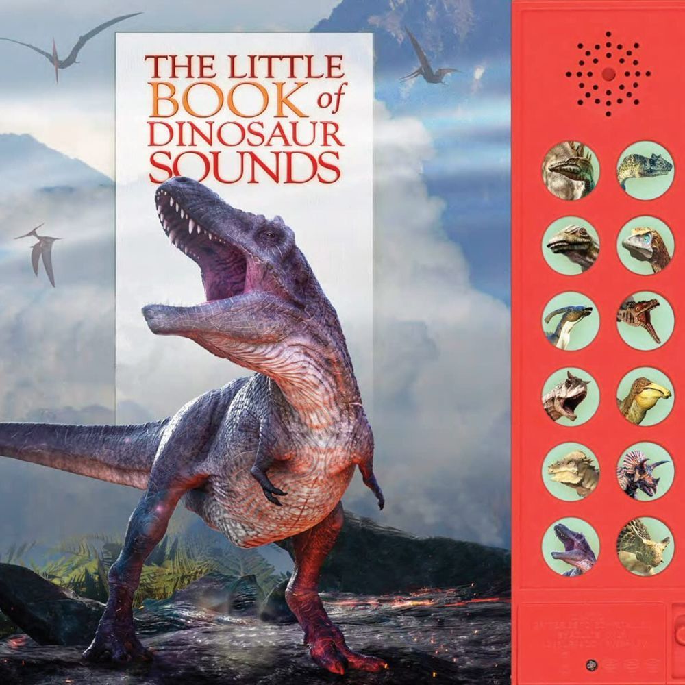 The Little Book of Dinosaur Sounds by Andrea Pinnington