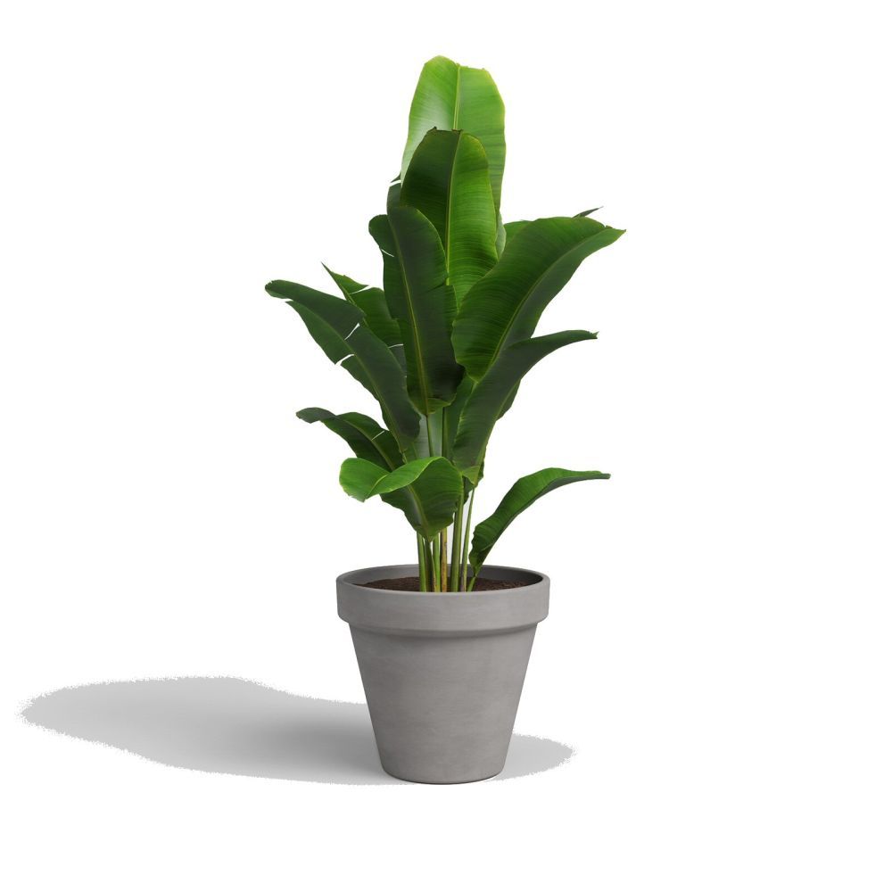 Artevasi 21cm Vulcano Ceramic Amalia Pot - Old Railway Line Garden Centre