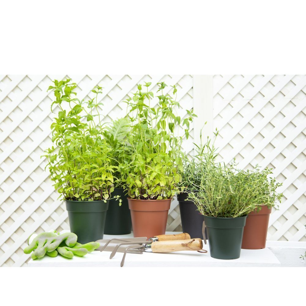 Artevasi 27cm Anthracite Madagascar To Grow Pot - Old Railway Line Garden Centre