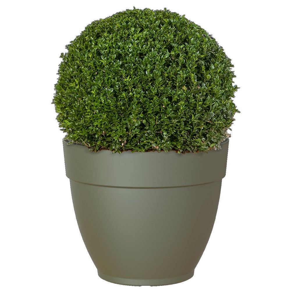 Artevasi 30cm Capri Campana Pot - Old Railway Line Garden Centre