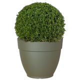 Artevasi 30cm Capri Campana Pot - Old Railway Line Garden Centre