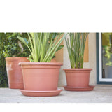 Artevasi 35cm Anthraite Round Saucer - Old Railway Line Garden Centre