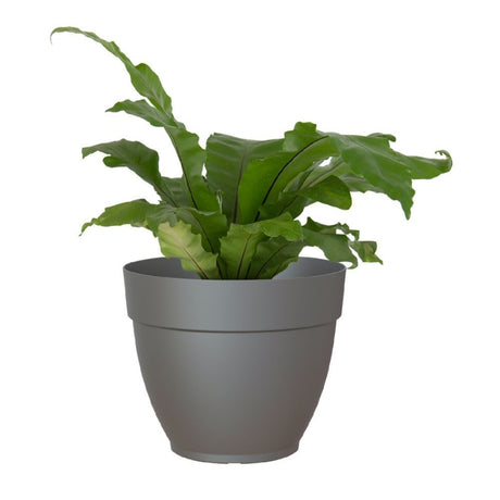 Artevasi 50cm Anthracite Capri Campana Pot - Old Railway Line Garden Centre