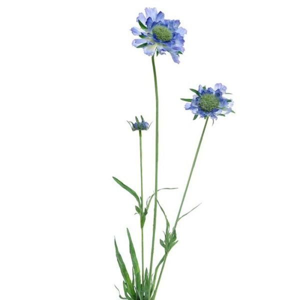 CB Imports 64cm Artificial Blue Scabiosa Spray - Old Railway Line Garden Centre