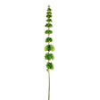 CB Imports 86cm Artificial Green Bells of Ireland Stem - Old Railway Line Garden Centre