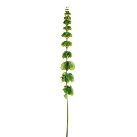 CB Imports 86cm Artificial Green Bells of Ireland Stem - Old Railway Line Garden Centre