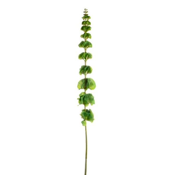 CB Imports 86cm Artificial Green Bells of Ireland Stem - Old Railway Line Garden Centre