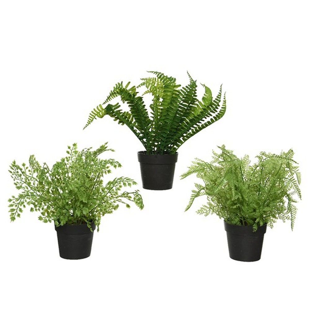Decoris 28cm Artificial Fern in Pot (Choice of 3) - Old Railway Line Garden Centre