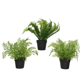 Decoris 28cm Artificial Fern in Pot (Choice of 3) - Old Railway Line Garden Centre