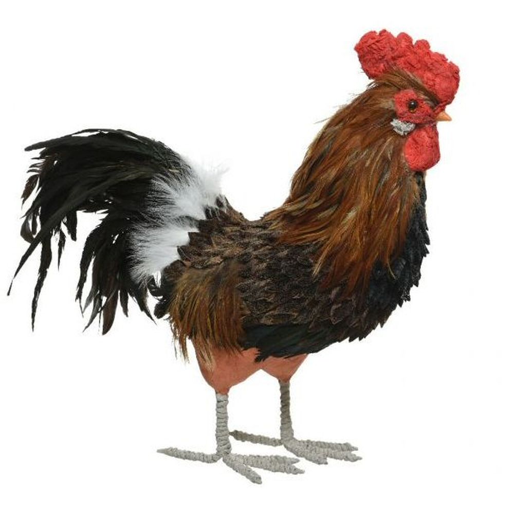 Decoris 50cm Feather Rooster - Old Railway Line Garden Centre