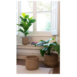 Decoris 97cm Green Artificial Leaf Fig Tree in Plastic Pot - Old Railway Line Garden Centre