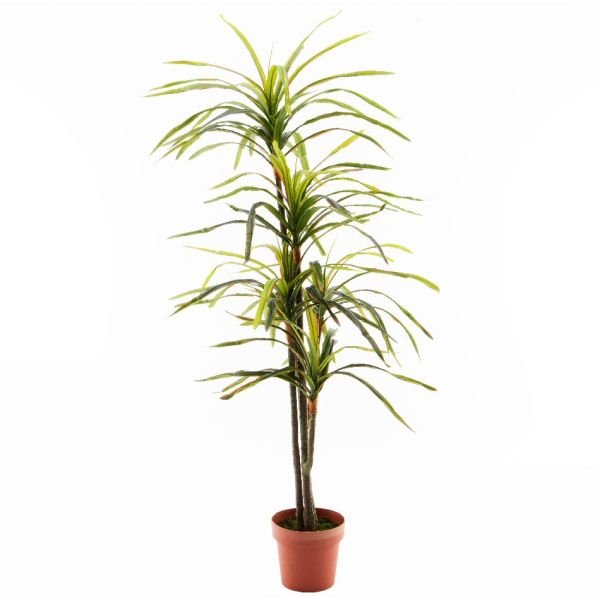 Decoris Artifcial Plant in Pot - Old Railway Line Garden Centre