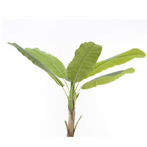 Decoris Artificial Banana Tree with 10 Leaves - Old Railway Line Garden Centre