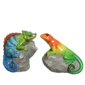 Decoris Ceramic Lizard or Chameleon Ornament - Old Railway Line Garden Centre