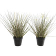 Decoris Choice of 2 Artificial Grass in Pot - Old Railway Line Garden Centre