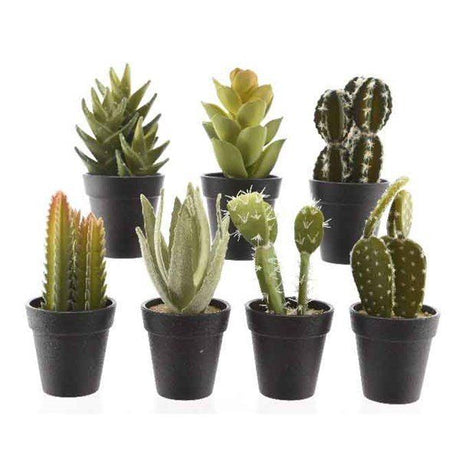 Decoris Large Artificial Succulent in Pot (One selected at random) - Old Railway Line Garden Centre