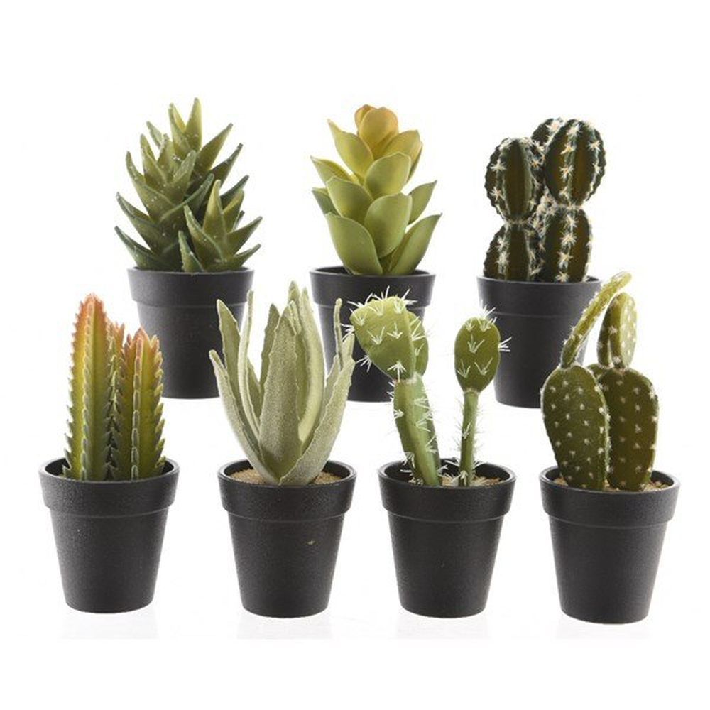 Decoris Small Artificial Succulent in Pot (One selected at random) - Old Railway Line Garden Centre