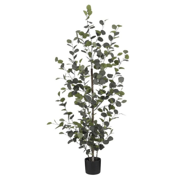 Edelman 150cm Green Artificial Eucalyptus in a Pot - Old Railway Line Garden Centre