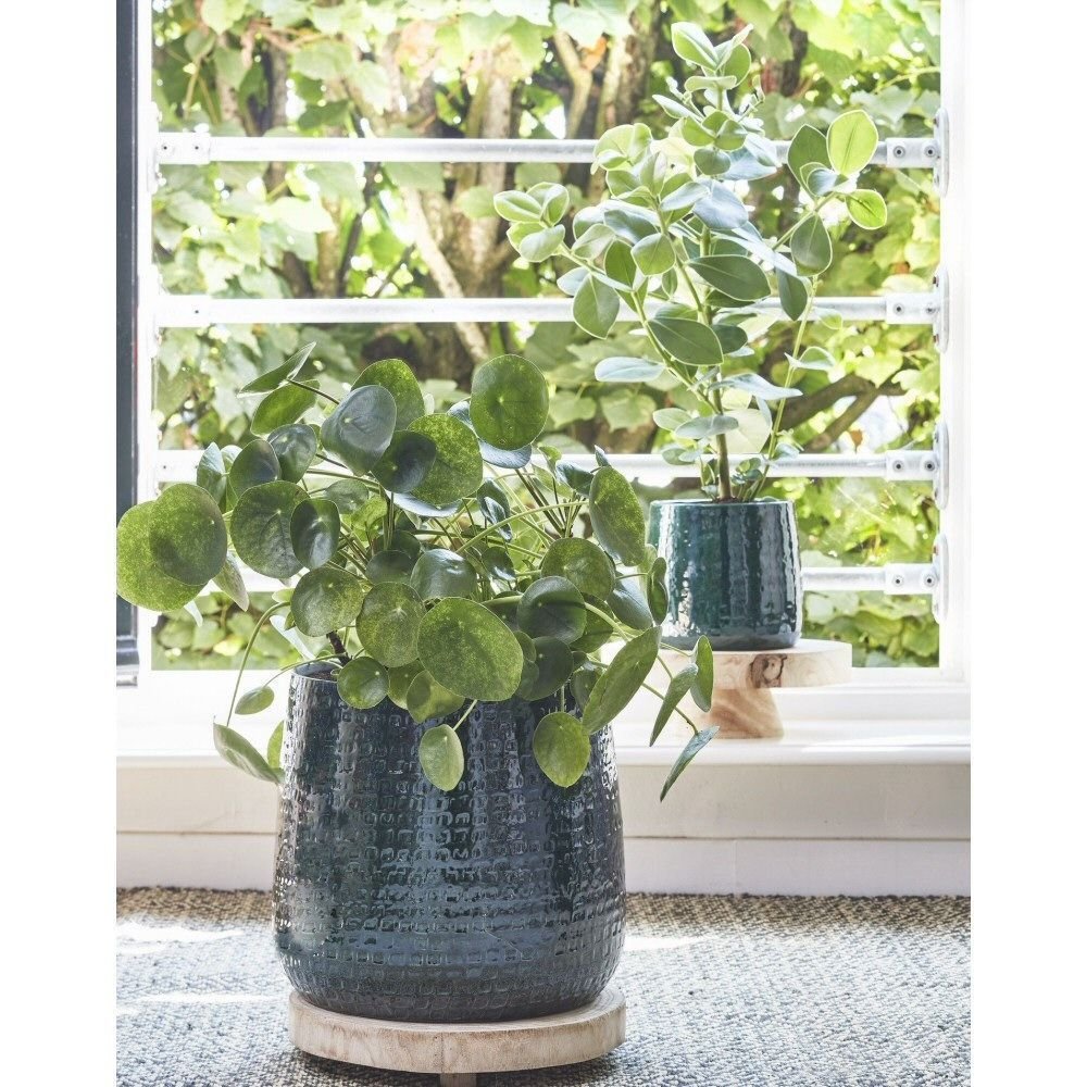 Edelman 28cm Forest Green Floyd Houseplant Pot - Old Railway Line Garden Centre