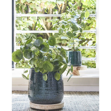 Edelman 28cm Forest Green Floyd Houseplant Pot - Old Railway Line Garden Centre