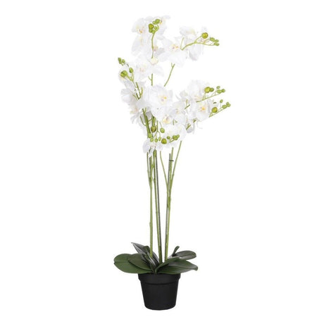 Edelman 90cm White Artificial Orchid with a Pot - Old Railway Line Garden Centre
