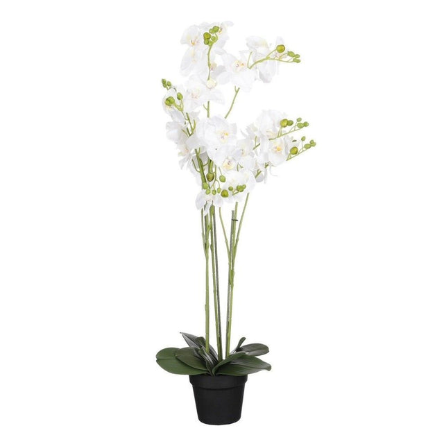 Edelman 90cm White Artificial Orchid with a Pot - Old Railway Line Garden Centre