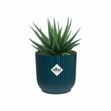 Elho 11cm Deep Blue Vibes Fold Round Pot - Old Railway Line Garden Centre