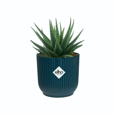 Elho 11cm Deep Blue Vibes Fold Round Pot - Old Railway Line Garden Centre
