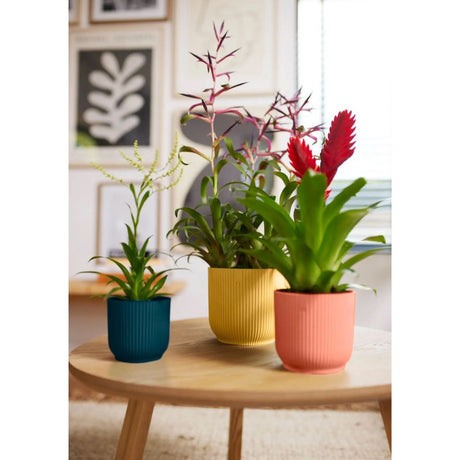 Elho 11cm Deep Blue Vibes Fold Round Pot - Old Railway Line Garden Centre