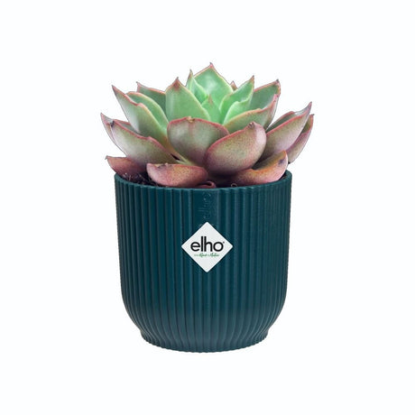 Elho 11cm Deep Blue Vibes Fold Round Pot - Old Railway Line Garden Centre
