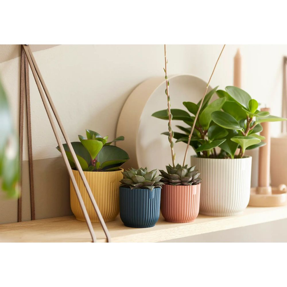 Elho 11cm Deep Blue Vibes Fold Round Pot - Old Railway Line Garden Centre