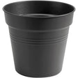 Elho 13cm Living Black Green Basics Growpot - Old Railway Line Garden Centre
