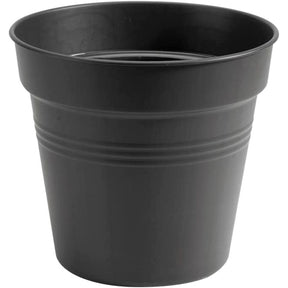 Elho 13cm Living Black Green Basics Growpot - Old Railway Line Garden Centre